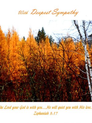 Birch and Tamaracks- Zephaniah 3:17