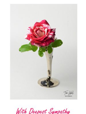 Neil Diamond Rose With Deepest Sympathy