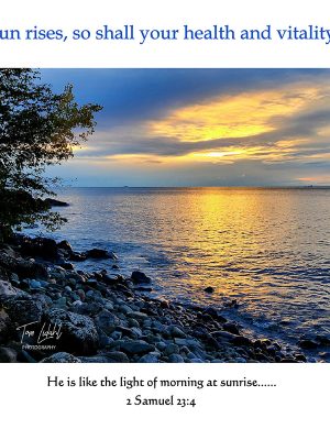 "As the sun rises, so shall your health and vitality return."