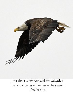 'He alone is my rock and my salvation..."  Psalm 62:2
