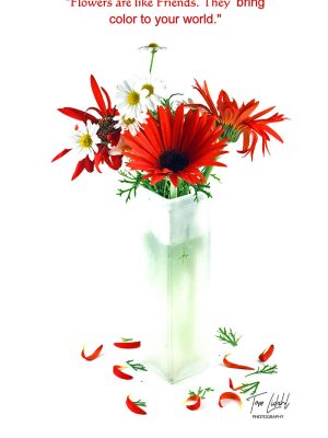 "Flowers are like friends. They bring color to your world."