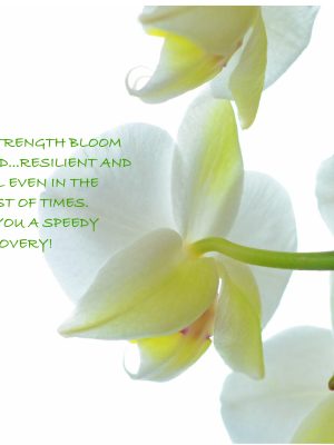 MAY YOUR STRENGTH BLOOM LIKE AN ORCHID....