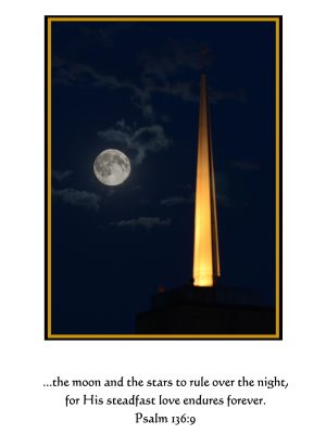 "...the moon and the stars to rule over the night,..."  Psalm 136:9