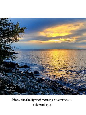 "He is the light of morning at sunrise...."  2 Samuel 23:4