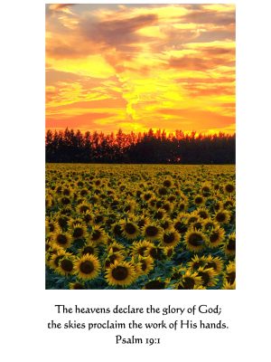 Sunset and Sunflowers Psalm 19:1