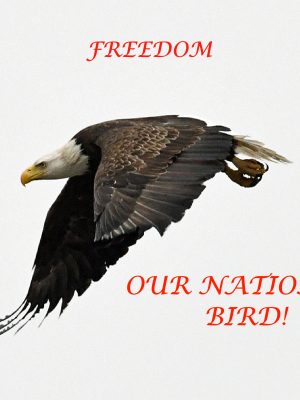OUR NATIONAL BIRD!!