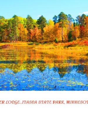 BEAVER LODGE...ITASCA STATE PARK, MN