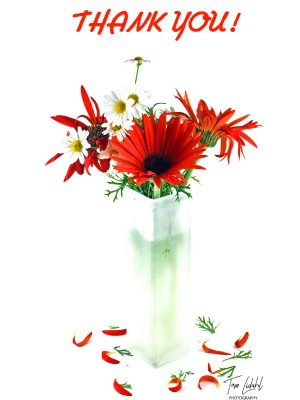 GERBERAS AND DAISIES