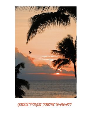 HAWAII SUNSET