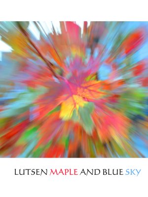 MAPLE AND BLUE SKY BLUR