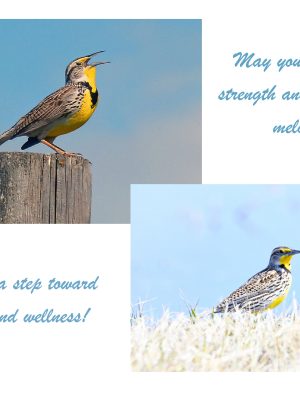 MAY YOUR SPIRIT FIND STRENGTH....