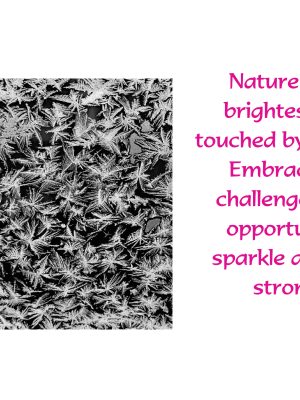 WINDOW FROST..."NATURE SHINES BRIGHTEST WHEN TOUCHED BY THE COLD..."