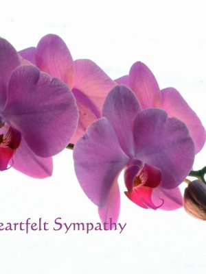 PURPLE ORCHID "May the beauty of the orchid remind you that love and memories bloom forever."